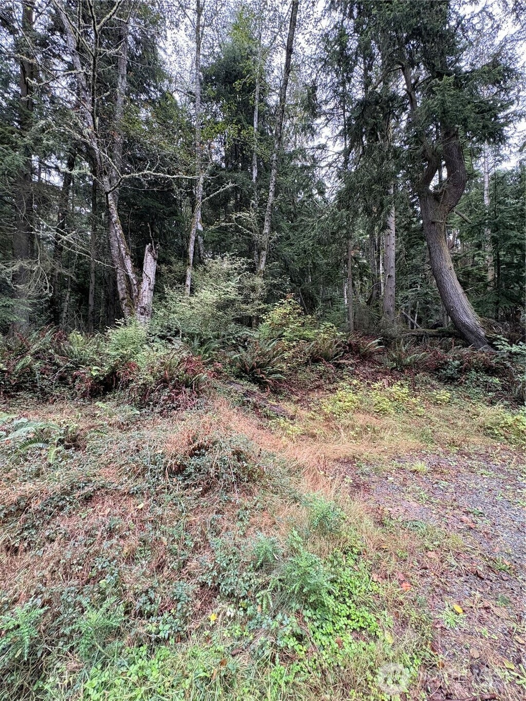Photo of 123 Smugglers Cove Rd, Oak Harbor, WA 98253 (MLS # 2586087)