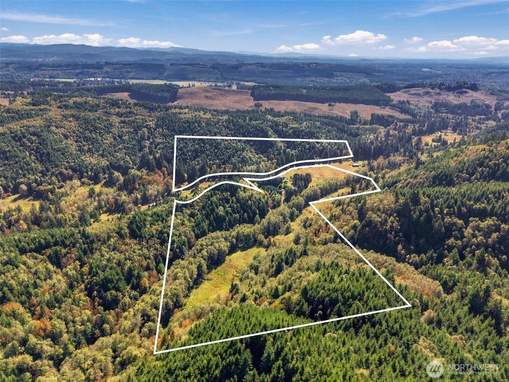 Photo of 555 Pigeon Springs Road, Onalaska, WA 98570 (MLS # 2588978)