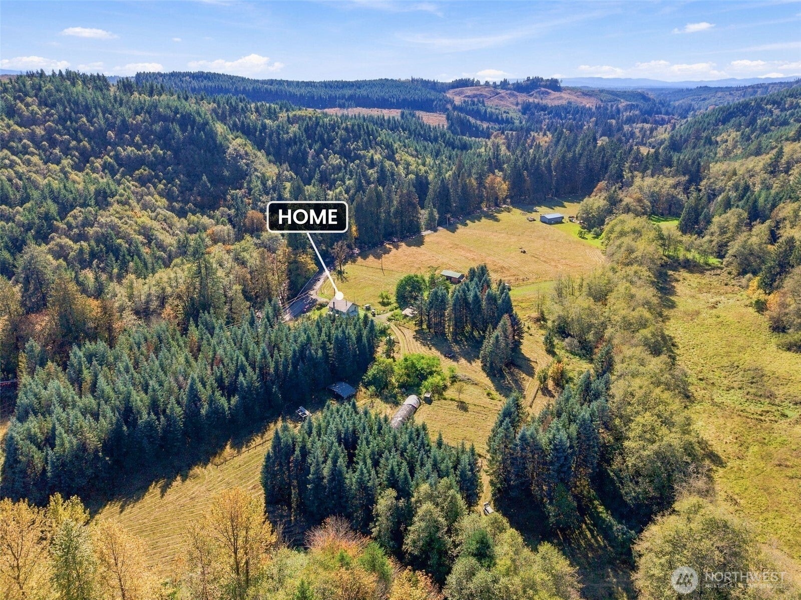 555 Pigeon Springs Road