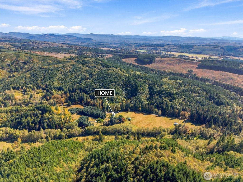 Photo of 555 Pigeon Springs Road, Onalaska, WA 98570 (MLS # 2588978)