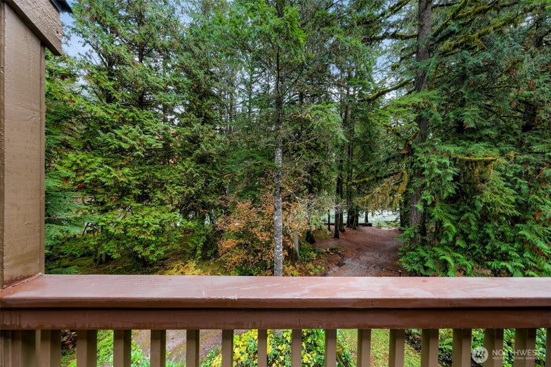 10500 Mt Baker Hwy 704