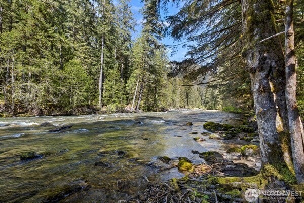 10500 Mt Baker Hwy 704