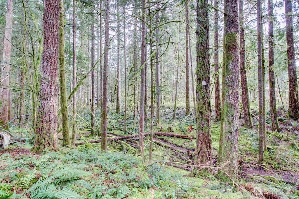 Photo of 22 Wilderness Way, Deming, WA 98244 (MLS # 2509737)