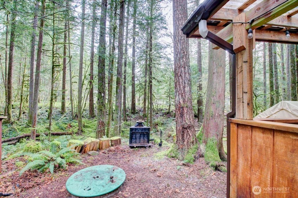 Photo of 22 Wilderness Way, Deming, WA 98244 (MLS # 2509737)