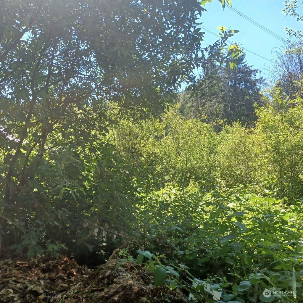 Photo of 0 241st Avenue SE, Monroe, WA 98272 (MLS # 2138810)