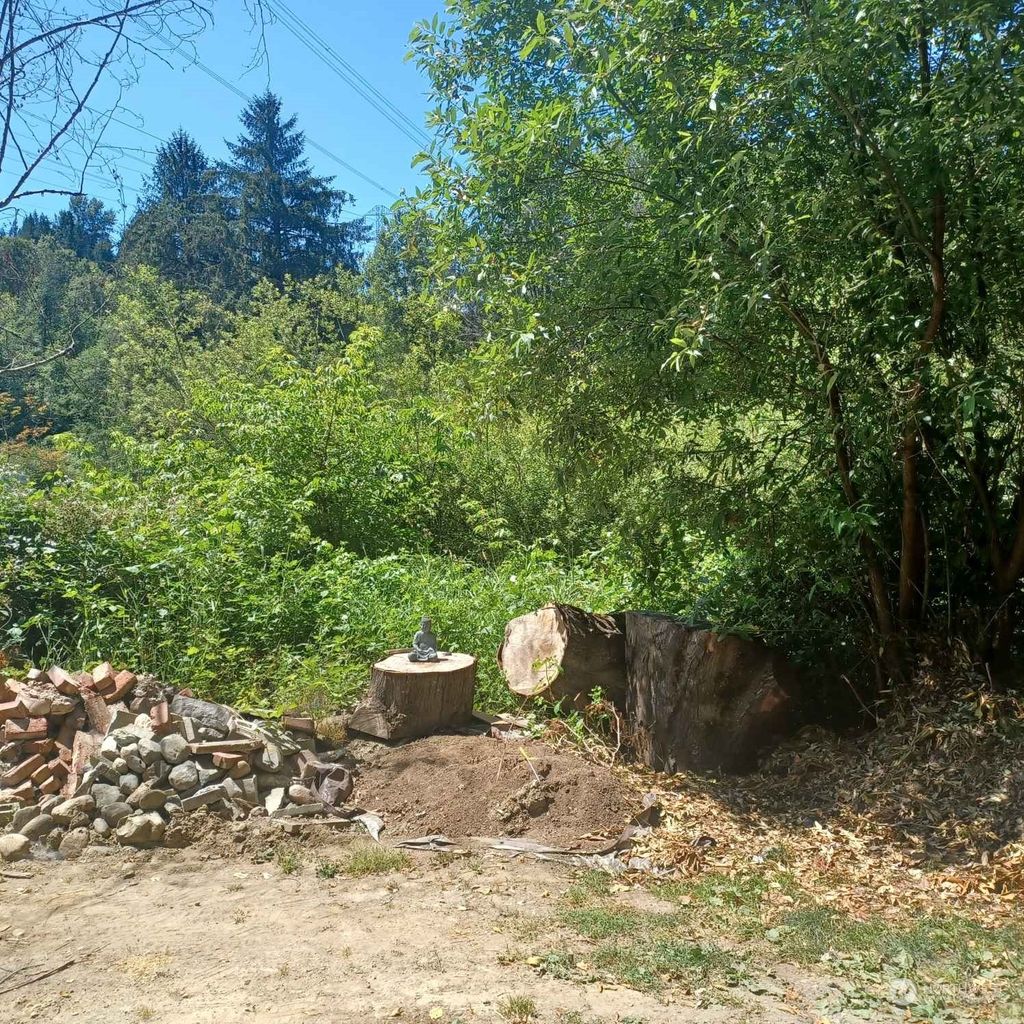 Photo of 0 241st Avenue SE, Monroe, WA 98272 (MLS # 2138810)