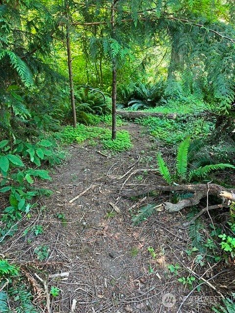 Photo of 74 Lake Louise Drive, Bellingham, WA 98229 (MLS # 2559687)