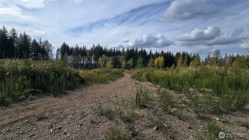 Photo of 2 xxxx 170th Street E, Buckley, WA 98321 (MLS # 2581107)