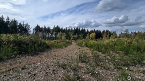 Photo of 2 xxxx 170th Street E, Buckley, WA 98321 (MLS # 2581107)