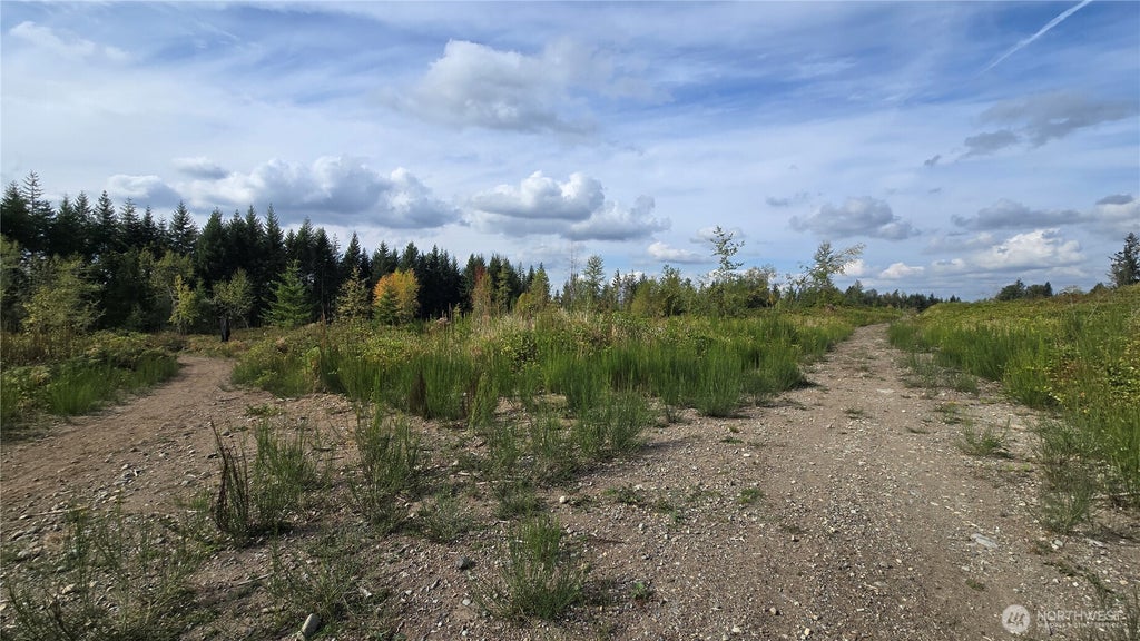 Photo of 2 xxxx 170th Street E, Buckley, WA 98321 (MLS # 2581107)