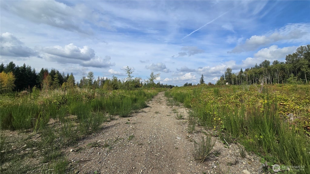 Photo of 2 xxxx 170th Street E, Buckley, WA 98321 (MLS # 2581107)