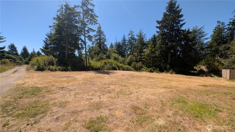 Photo of 2803 219th Street, Ocean Park, WA 98640 (MLS # 2397705)