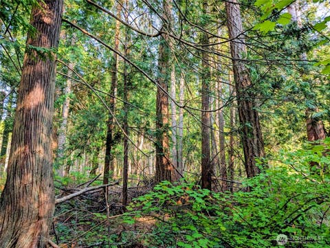 Photo of 2 Mill Road, Point Roberts, WA 98281 (MLS # 2427675)