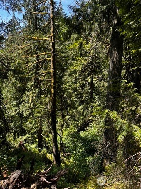 Photo of 0 Hoff Circle, Everson, WA 98247 (MLS # 2412652)