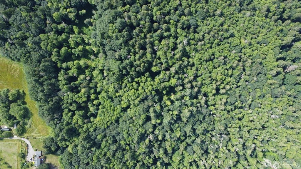 Photo of 210 XX Pugh Road NE, Poulsbo, WA 98370 (MLS # 2469853)