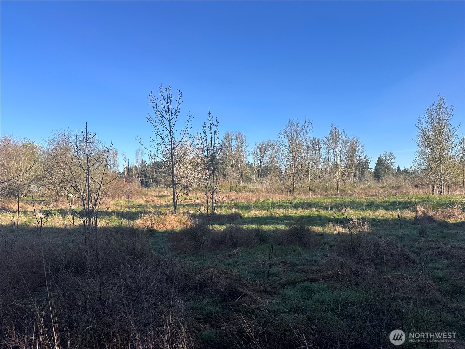 517 Toledo Salmon Creek Road