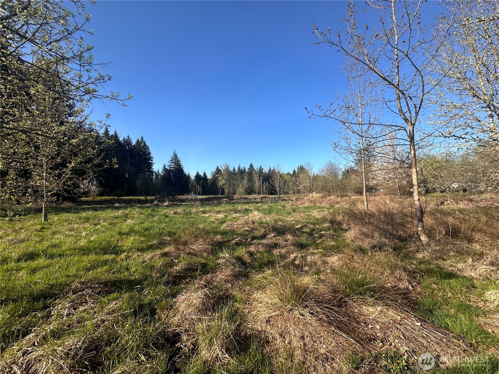 517 Toledo Salmon Creek Road