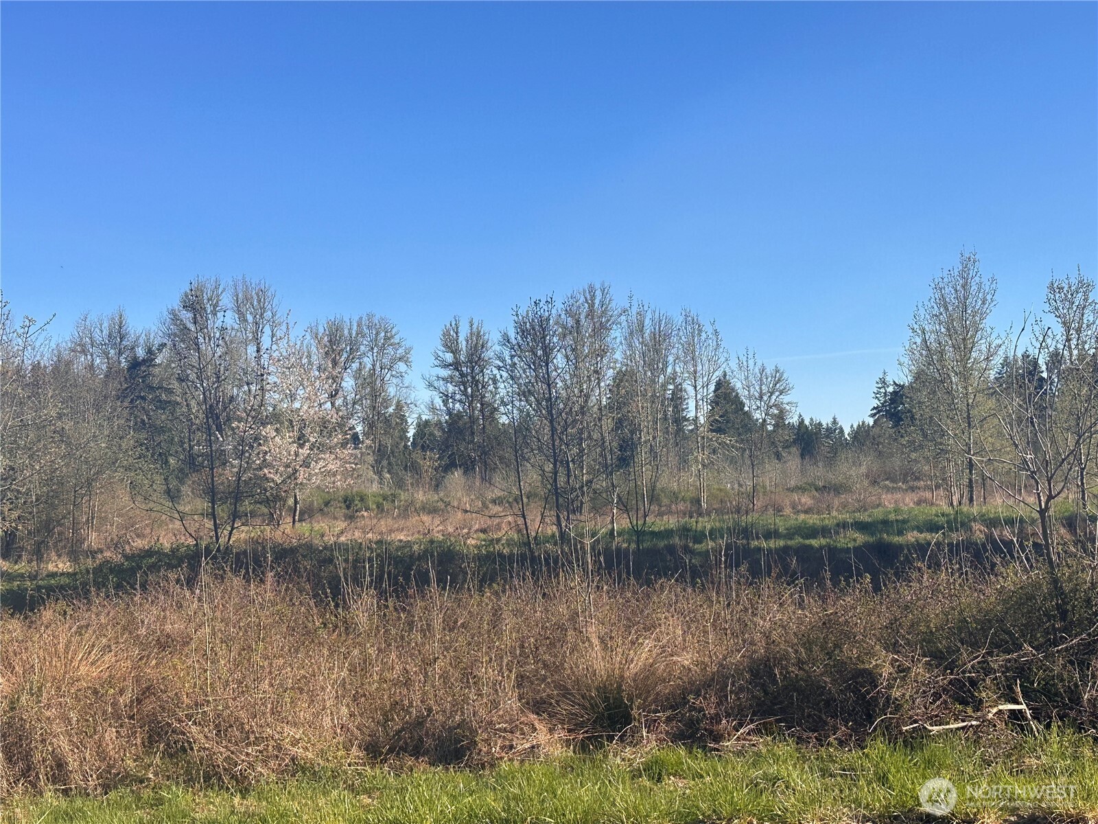 517 Toledo Salmon Creek Road