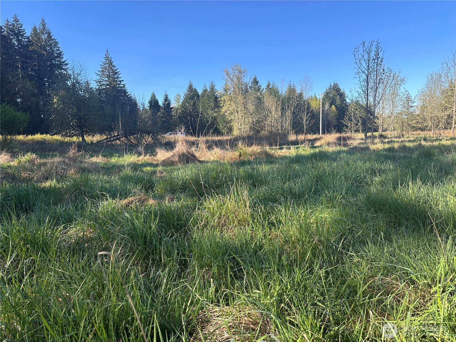 517 Toledo Salmon Creek Road