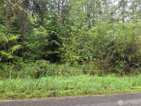Photo of 1581 E PHILLIPS LAKE LOOP Road, Shelton, WA 98584 (MLS # 2422271)
