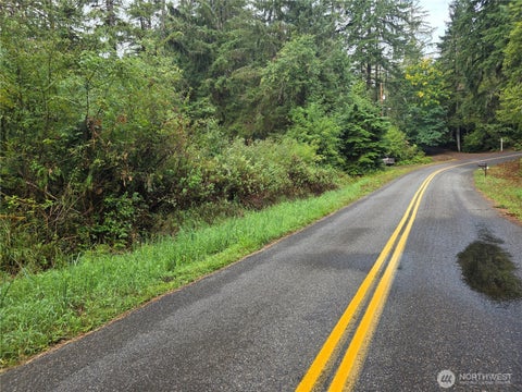 Photo of 1581 E PHILLIPS LAKE LOOP Road, Shelton, WA 98584 (MLS # 2422271)