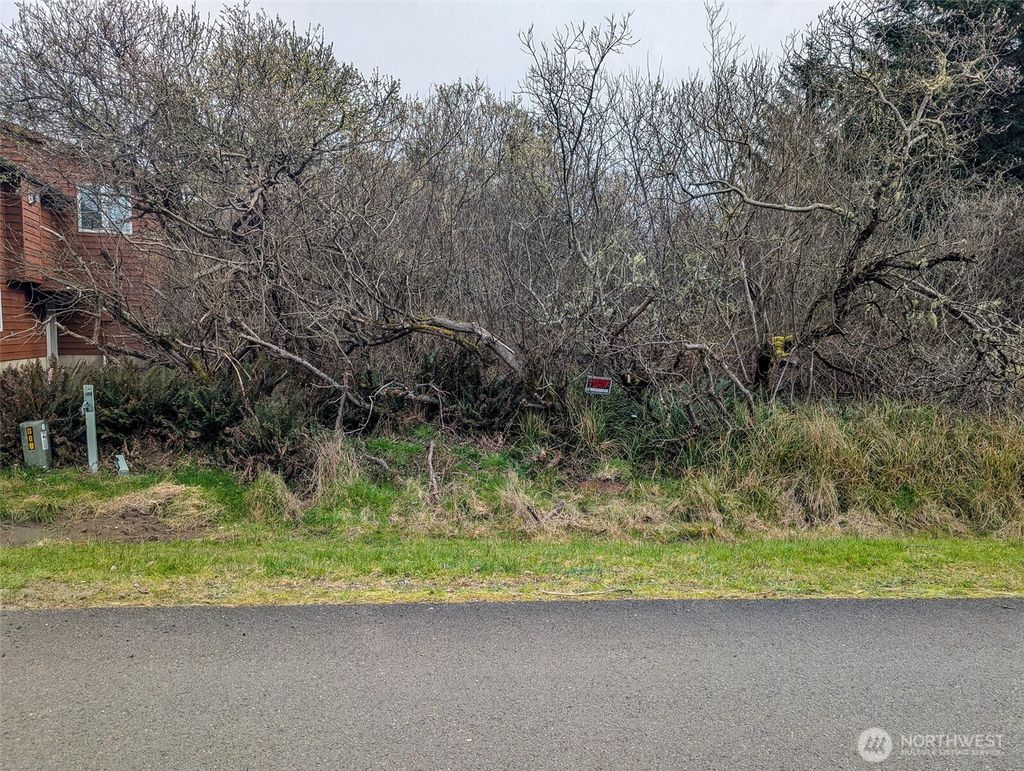 Photo of 572 Puffin Avenue NE, Ocean Shores, WA 98569 (MLS # 2496145)