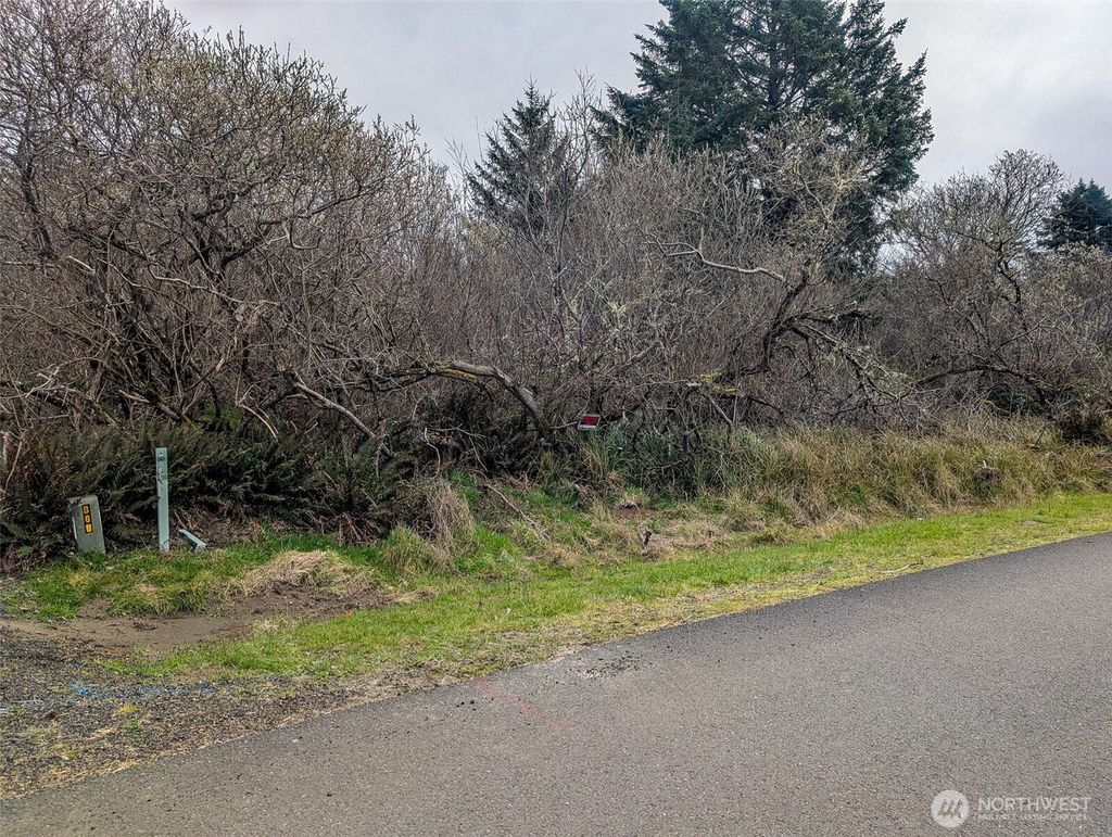 Photo of 572 Puffin Avenue NE, Ocean Shores, WA 98569 (MLS # 2496145)