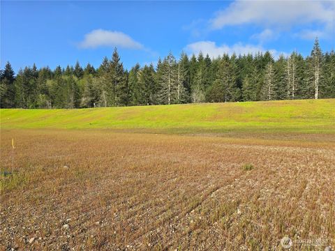 Photo of 71 E Virgil Drive W, Allyn, WA 98524 (MLS # 2513712)