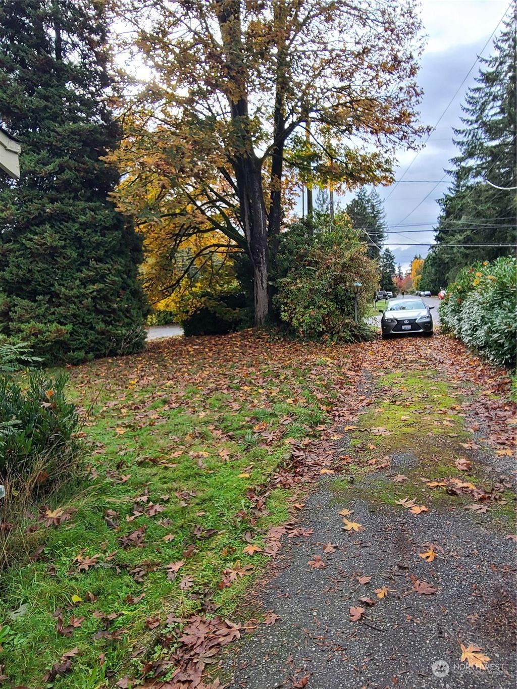 Photo of 1902 NE 120th Street, Seattle, WA 98125 (MLS # 2306593)