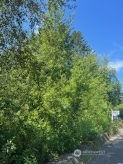 0 Lilly Road NE