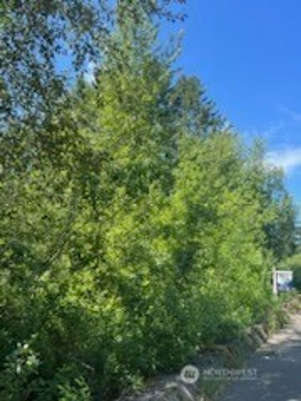 Photo of 0 xxxx Lilly Road NE, Olympia, WA 98506 (MLS # 2560079)