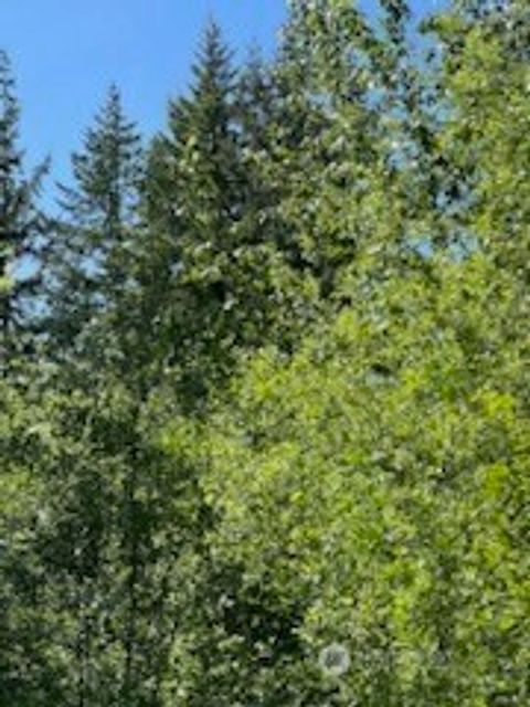 Photo of 0 xxxx Lilly Road NE, Olympia, WA 98506 (MLS # 2560079)