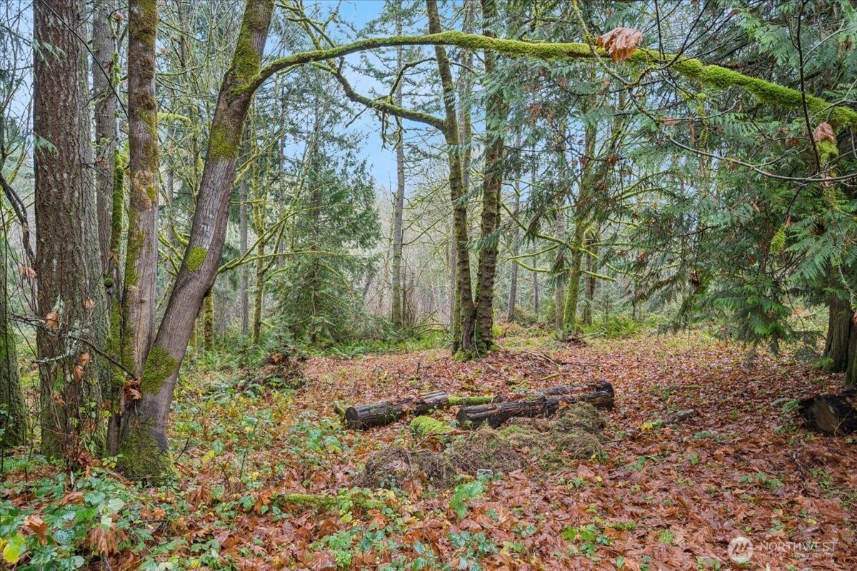 1704 186th Avenue NW