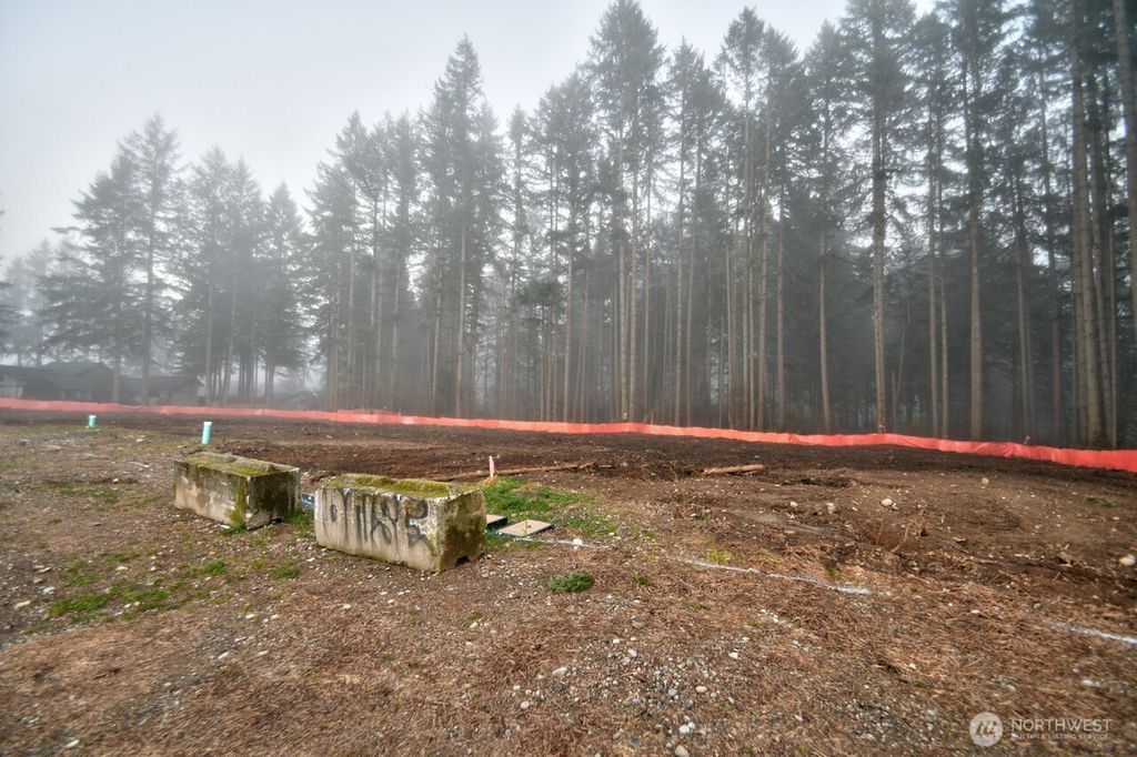 Photo of 1624 Decatur Street SW, Olympia, WA 98502 (MLS # 2469812)