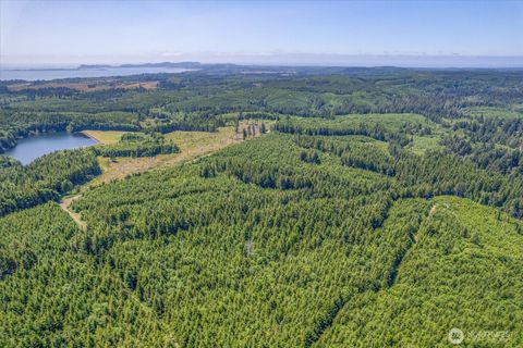 Photo of 0 Walberg Road, Ilwaco, WA 98614 (MLS # 2397686)