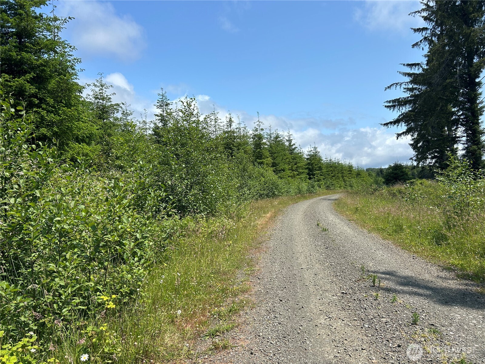 0 Walberg Road