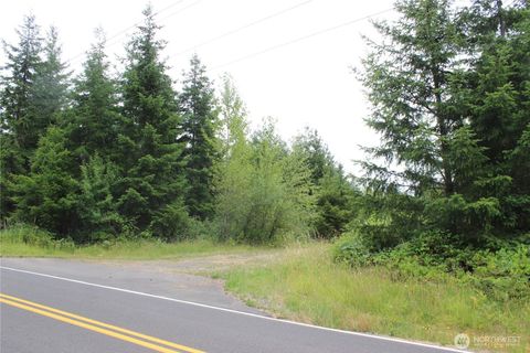 Photo of 9605 Prather Road SW, Rochester, WA 98579 (MLS # 2406606)