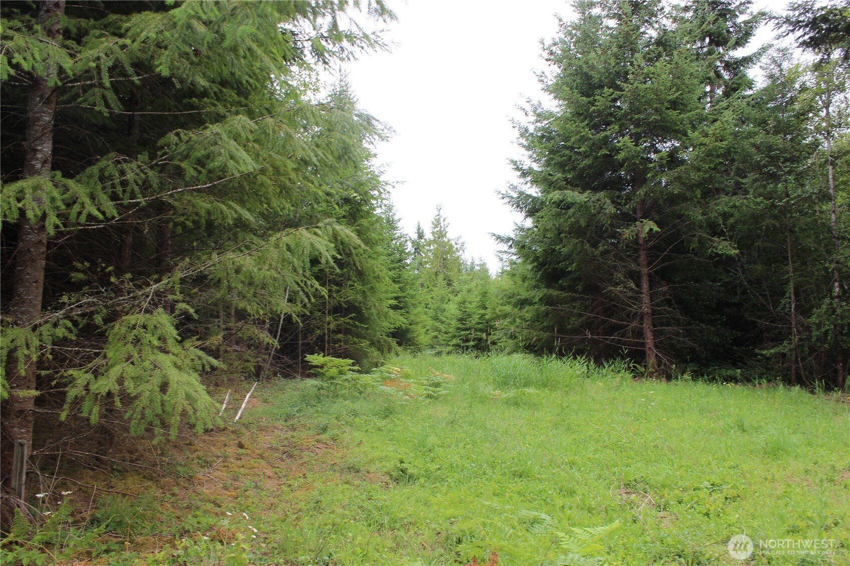 9605 Prather Road SW