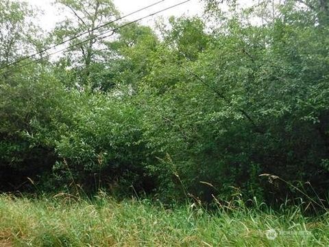 Photo of 2406 Willows RD, Seaview, WA 98644 (MLS # 2393104)