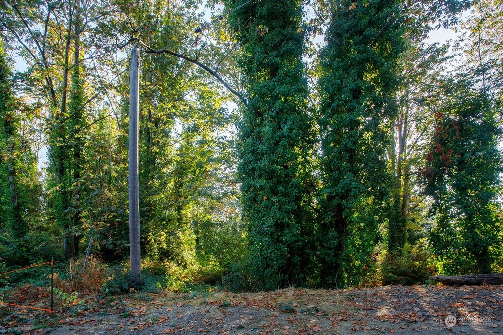Photo of 4113 S 113th Street, Tukwila, WA 98168 (MLS # 2007640)