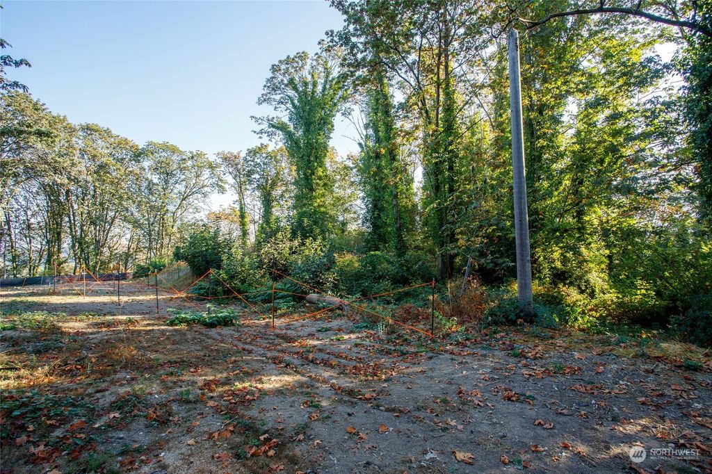 Photo of 4113 S 113th Street, Tukwila, WA 98168 (MLS # 2007640)