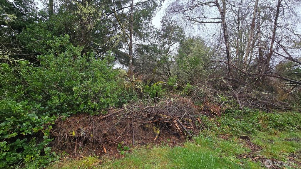 Photo of 248 Wishkah Street, Ocean Shores, WA 98569 (MLS # 2495487)