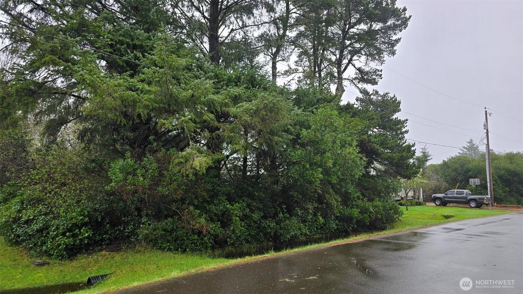 Photo of 248 Wishkah Street, Ocean Shores, WA 98569 (MLS # 2495487)