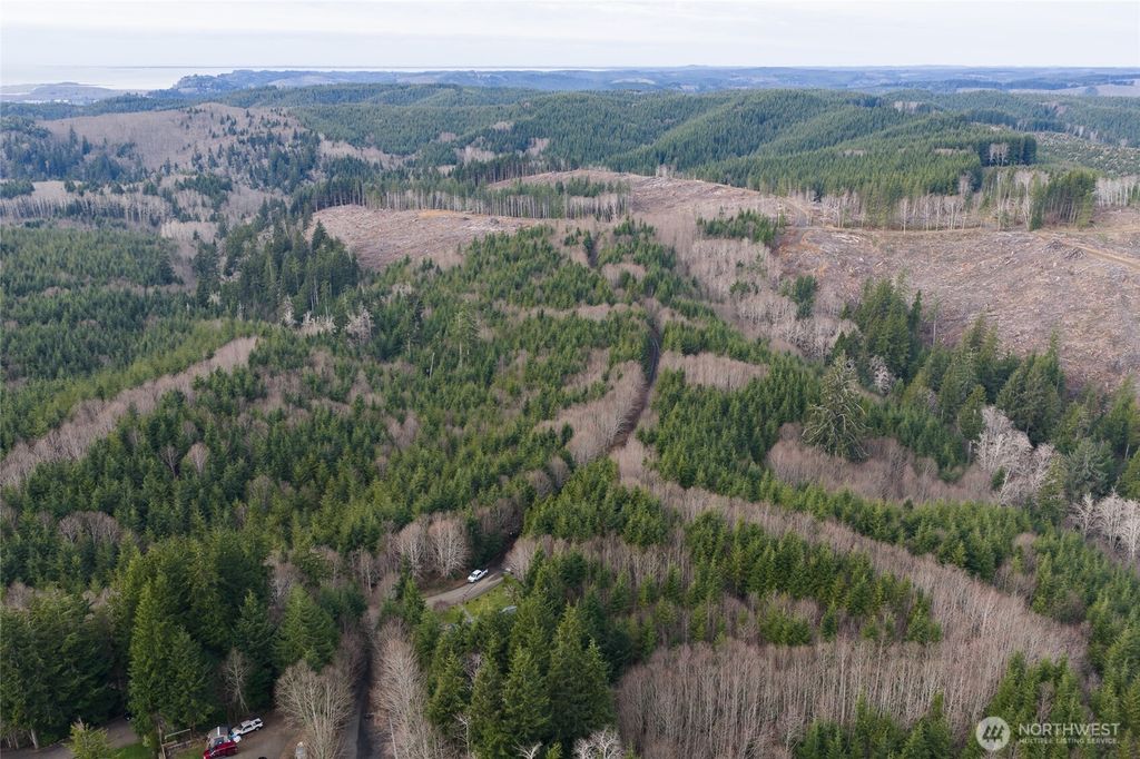 Photo of 0 NKA Herbig Avenue, Aberdeen, WA 98520 (MLS # 2496125)