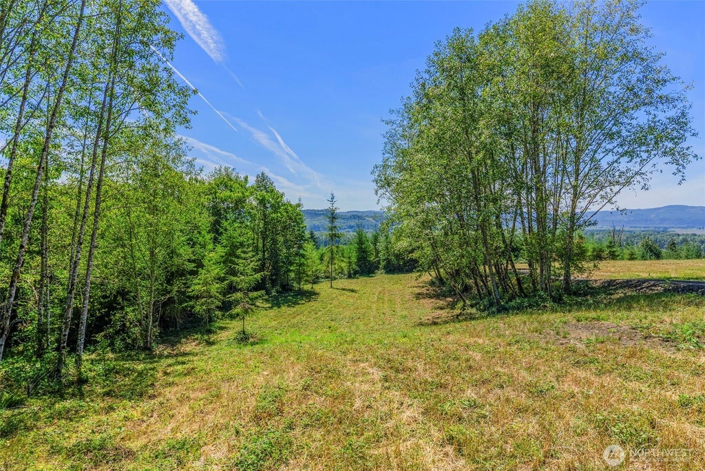 Photo of 0 Old Tree Farm Drive #D, Longview, WA 98632 (MLS # 2578885)