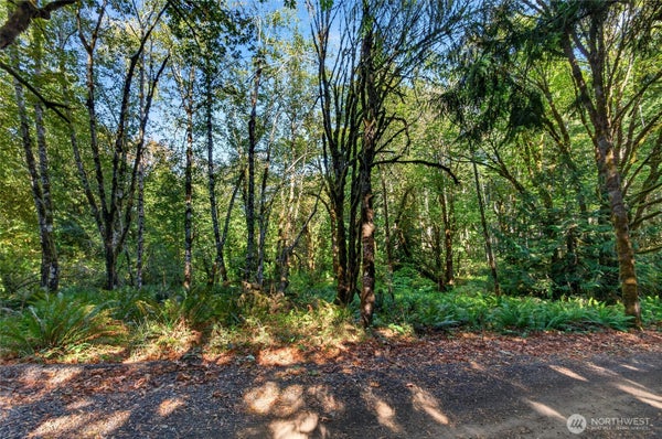ADDRESS PRIVATE, OLYMPIA, WA  - Image 0f2e2b7e320ebe0973f43fa1351ced1e/3104834053