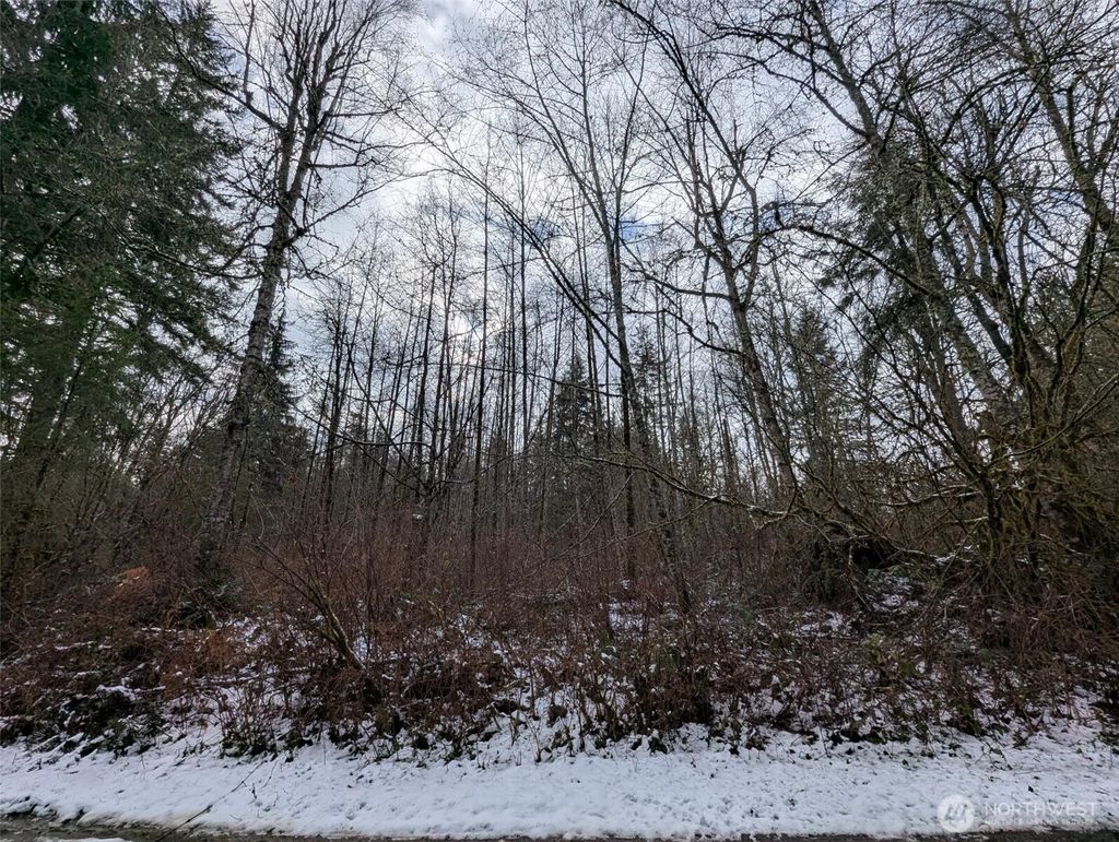 Photo of 0 124th Street NE, Arlington, WA 98223 (MLS # 2482587)