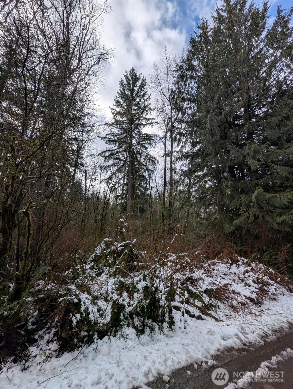 Photo of 0 124th Street NE, Arlington, WA 98223 (MLS # 2482587)