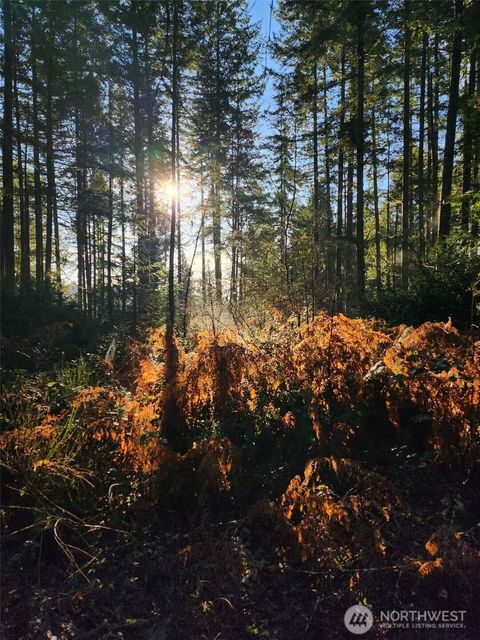 91 E Tepee Lane Belfair WA 98528