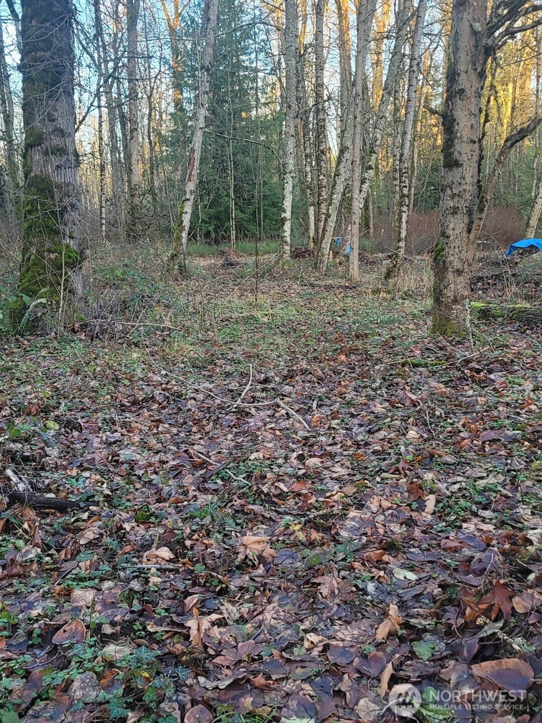 35750 Military Road S